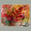 Red Leaves