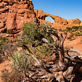Skyline Arch